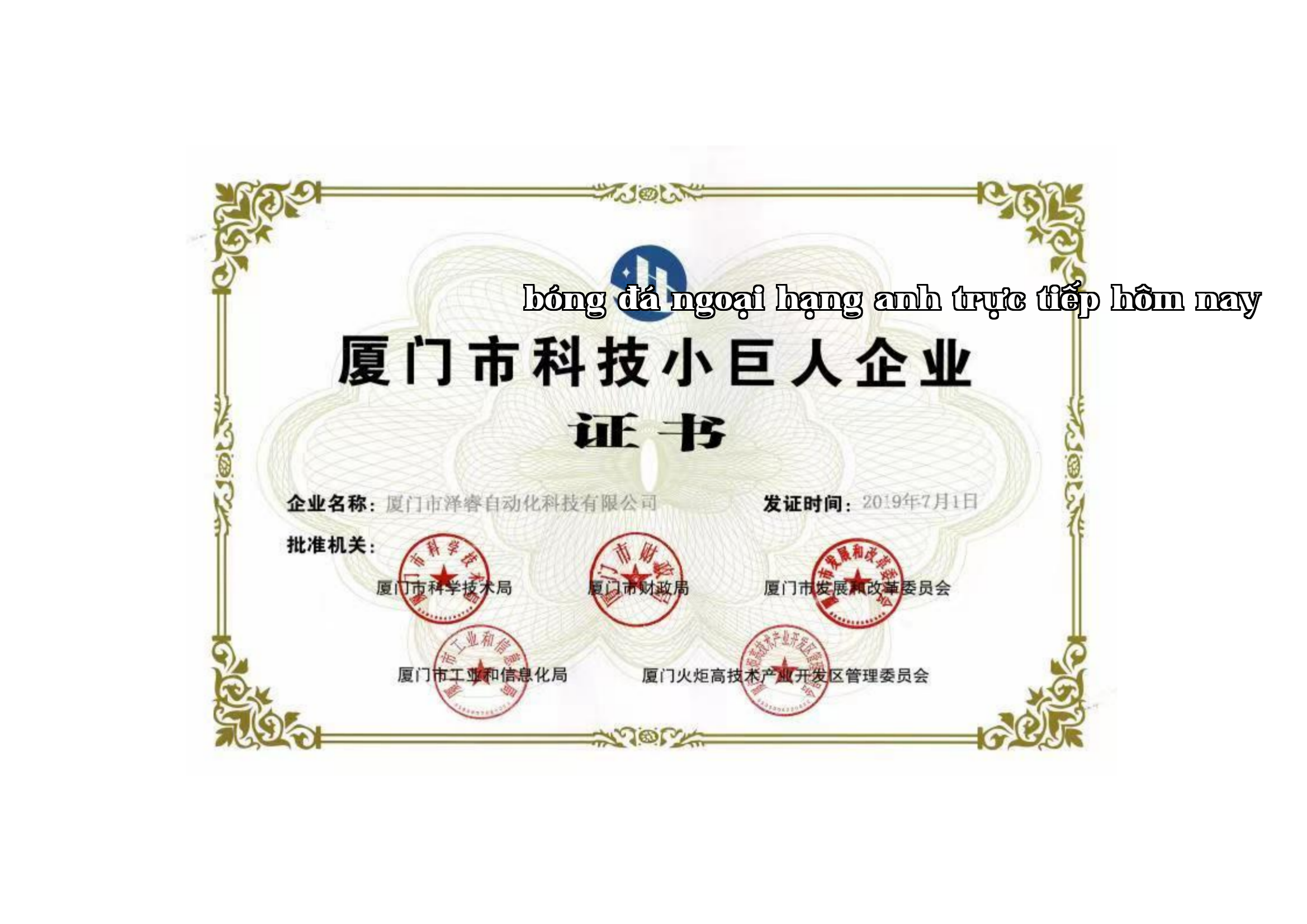 Doanh nhân nhỏ công nghệ thành phố Hạ Môn Doanh nhân nhỏ công nghệ thành phố Hạ Môn