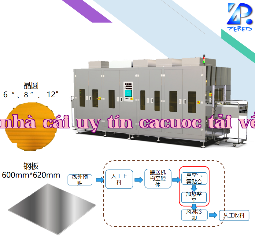 Bao gói màng chân không cao cấp